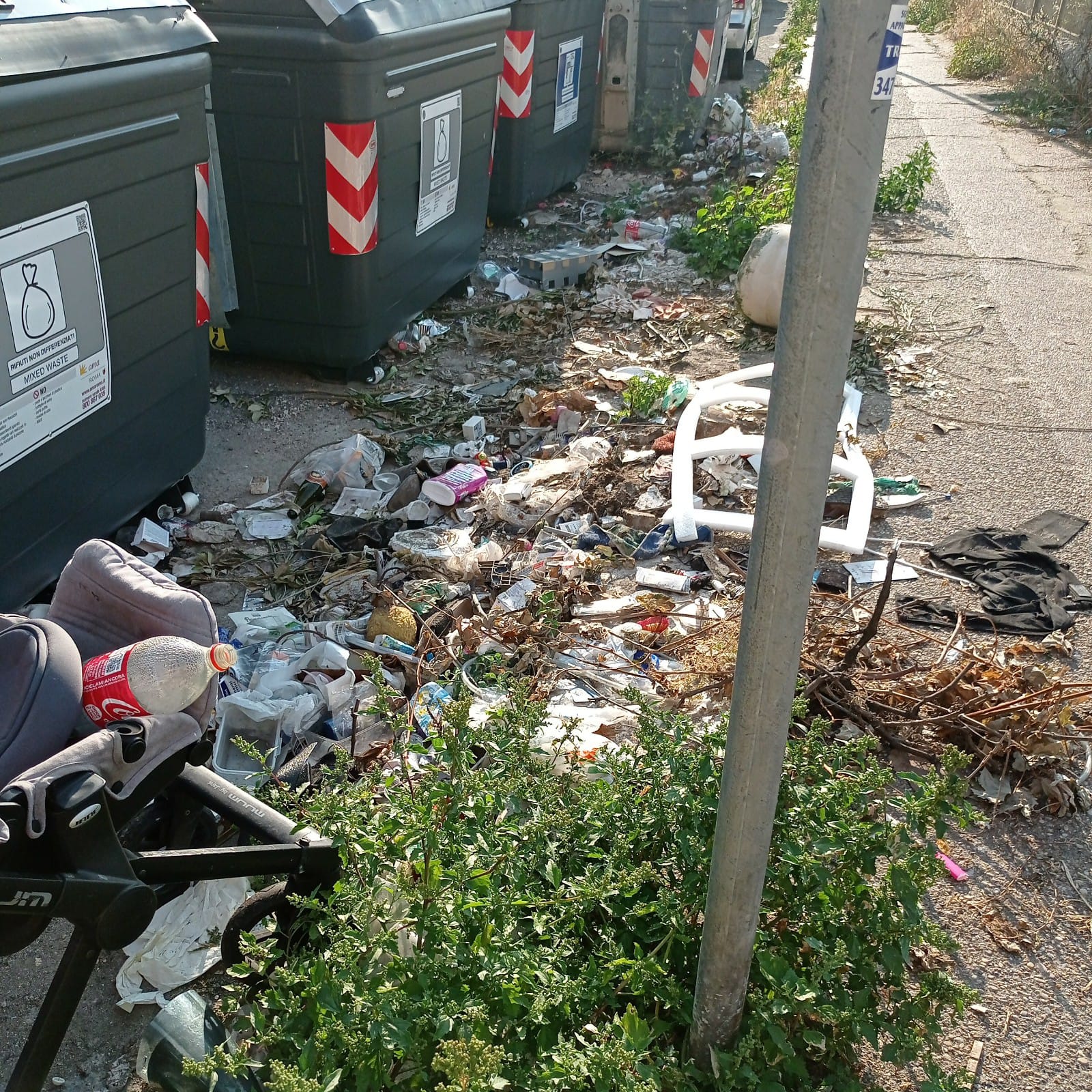 A Ostia ancora rifiuti per strada ma la gente si lamenta solo dei cani,  l'indignazione dell'IdD 